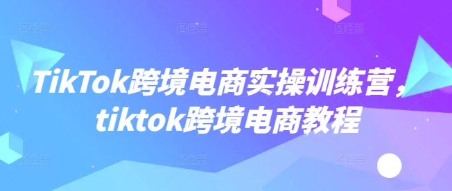 TikTok跨境电商实操训练营，tiktok跨境电商教程-800资源网