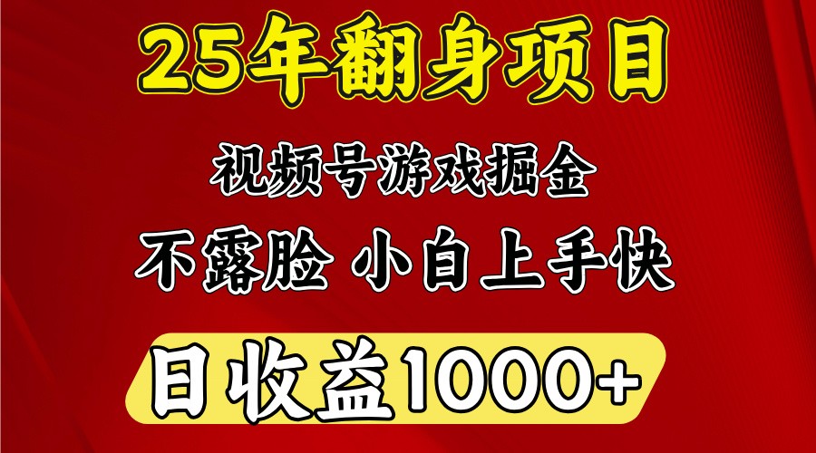 一天收益1000+ 25年开年落地好项目-800资源网