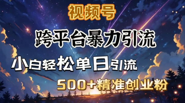 跨平台暴力引流，私域完美闭环，日引500+精准创业粉-800资源网