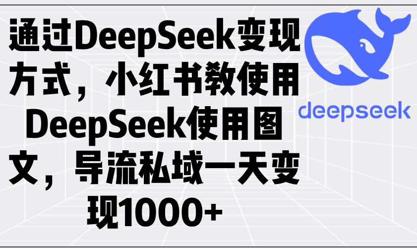 通过DeepSeek变现方式，小红书教使用DeepSeek图文，导流私域一天变现1000+-800资源网