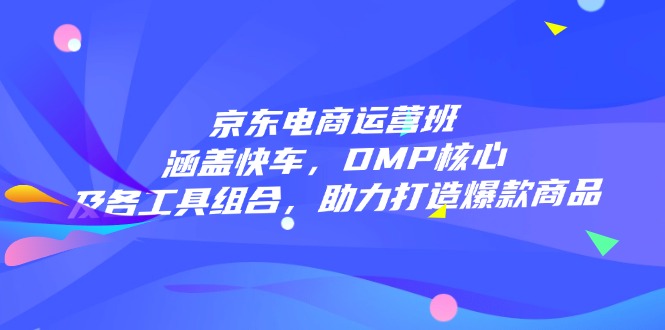 京东电商运营班：涵盖快车，DMP核心及各工具组合，助力打造爆款商品-800资源网