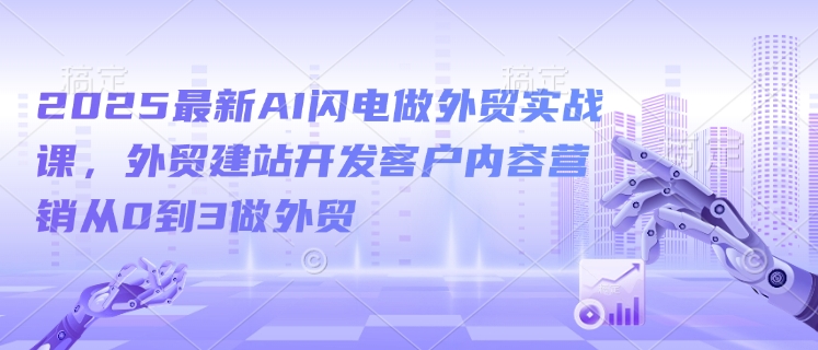 2025最新AI闪电做外贸实战课，外贸建站开发客户内容营销从0到3做外贸-800资源网