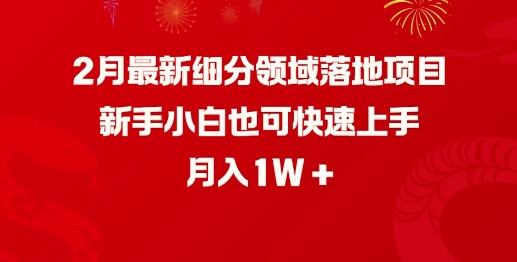 2月最新细分领域落地项目，新手小白也可快速上手，月入1W-800资源网