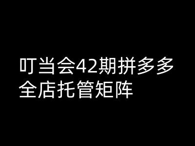 叮当会拼多多打爆班原创高阶技术第42期，拼多多全店托管矩阵-800资源网