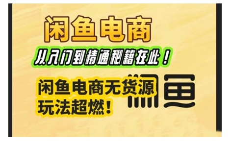 闲鱼电商实战课，从入门到精通秘籍在此，闲鱼电商无货源玩法超燃!-800资源网
