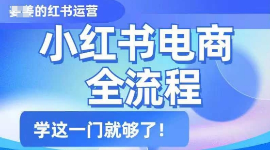 小红书电商全流程，精简易懂，从入门到精通，学这一门就够了-800资源网