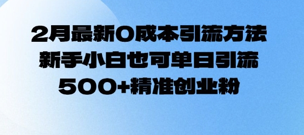 2月最新0成本引流方法，新手小白也可单日引流500+精准创业粉-800资源网