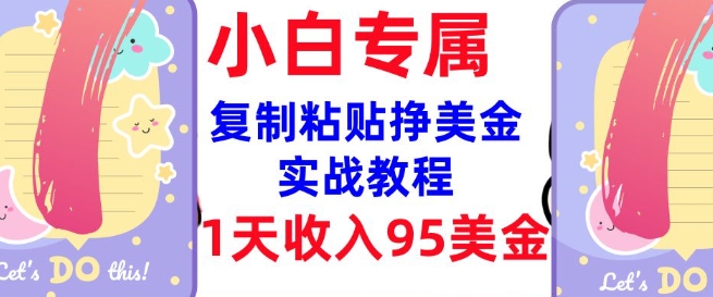 复制粘贴挣美金，0门槛，1天收入95美刀，3分钟学会，内部教程(首次公开)-800资源网