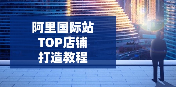 阿里国际站TOP店铺打造教程：涵盖平台到高阶，解决运营难题，提升询盘-800资源网