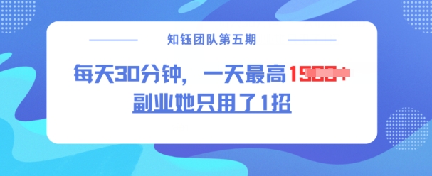副业她只用了1招，每天30分钟，无脑二创，一天最高1.5k-800资源网