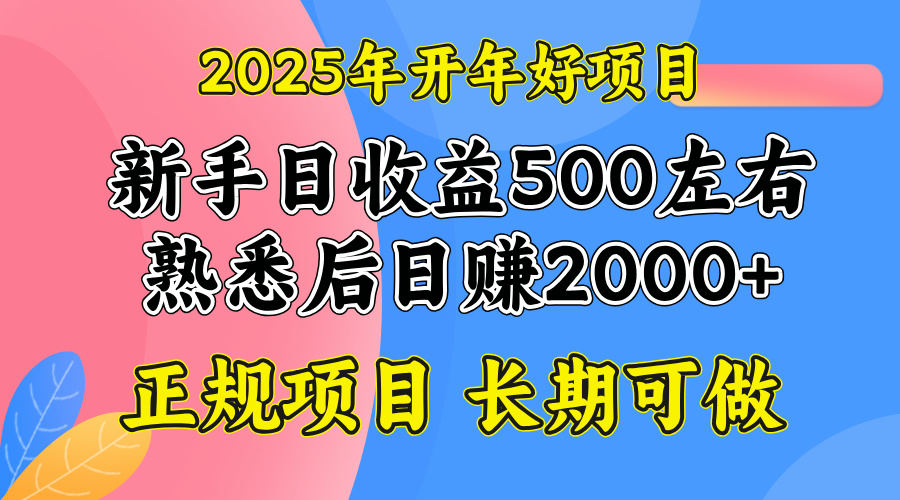 2025开年好项目，单号日收益2000左右-800资源网