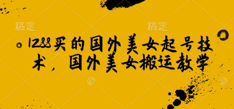 1288买的国外美女起号技术，国外美女搬运教学-800资源网