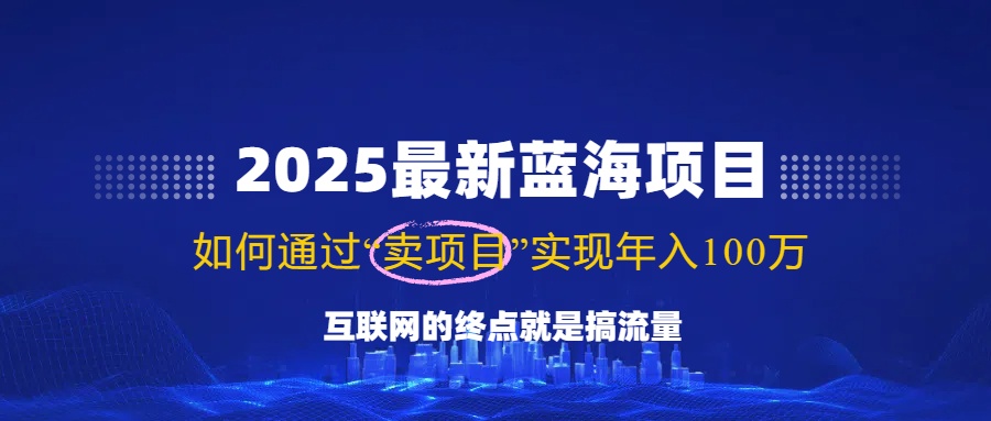 2025最新蓝海项目，零门槛轻松复制，月入10万+，新手也能操作！-800资源网