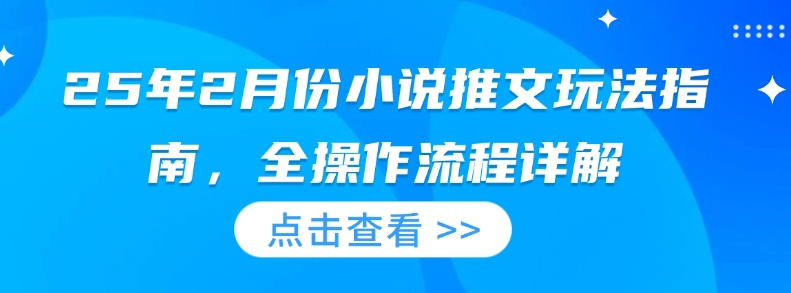 25年2月份小说推文玩法指南，全操作流程详解-800资源网
