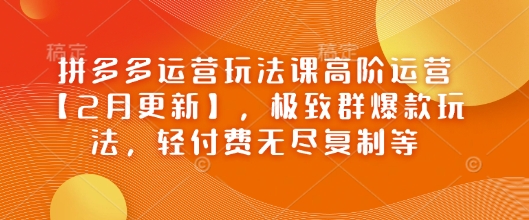 拼多多运营玩法课高阶运营【2月更新】，极致群爆款玩法，轻付费无尽复制等-800资源网