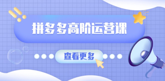 拼多多高阶运营课：极致群爆款玩法，轻付费无尽复制，打造单品爆款之路-800资源网
