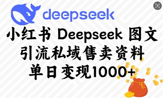 小红书Deepseek图文引流私域售卖资料，单日变现多张-800资源网