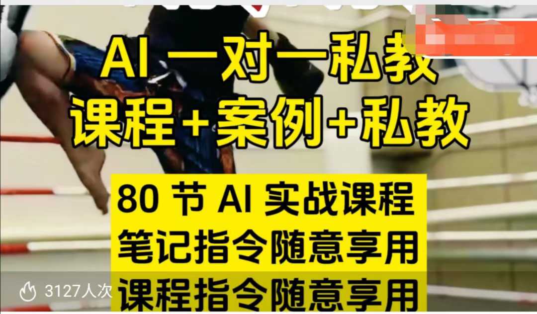 AI指令实战课，课程+案例，80节AI实战课程，笔记指令随意享用，课程指令随意享用-800资源网