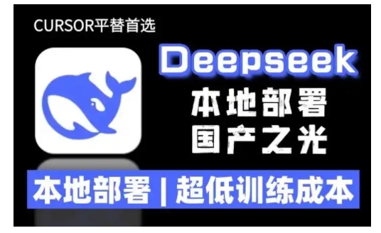2025年deepseek R1 大型模型本地安装部署(文件+教程)本地部署，超低训练成本-800资源网