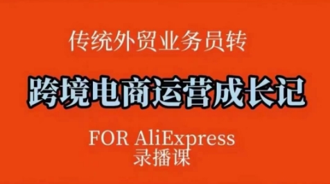 跨境电商速卖通运营课，​运营方法论+后台实操，逻辑清晰-800资源网