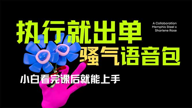 爆火全网的开车导航骚气语音包,只要执行就出单，小白看完课程就能实操…-800资源网