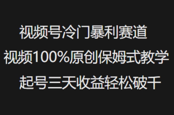 视频号冷门暴利赛道视频100%原创保姆式教学起号三天收益轻松破千-800资源网