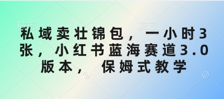 私域卖壮锦包，一小时3张，小红书蓝海赛道3.0版本， 保姆式教学-800资源网