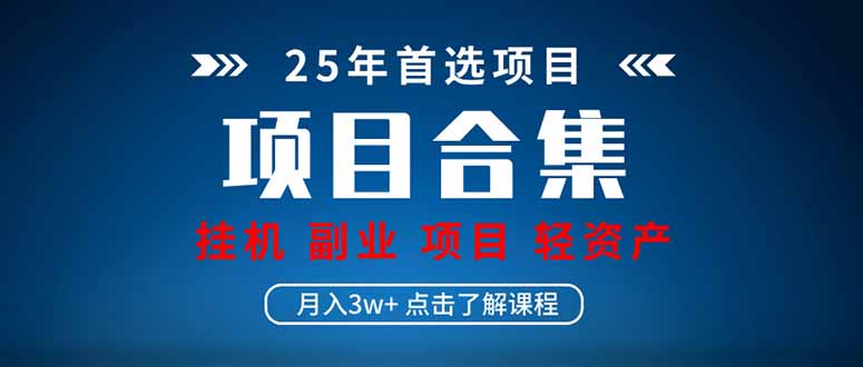 2025 实操项目合集 挂机类型 直播类型 轻资产创业类型 课程分享各项目…-800资源网