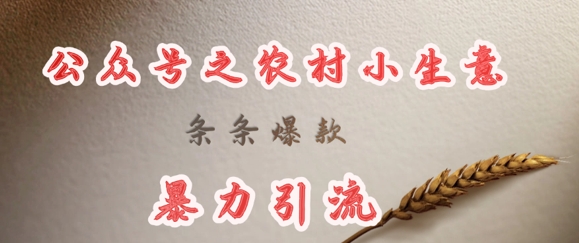 deepseek写农村小项目，条条爆款，暴力引流-800资源网