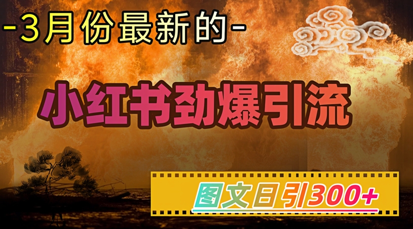小红书超劲爆引流手段，图文日引300+轻松变现1W-800资源网