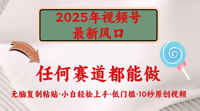 2025年视频号新风口，低门槛只需要无脑执行-800资源网