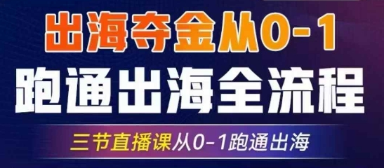 2025出海夺金从0-1跑通出海全流程，三节直播课从0-1跑通出海，教你用AI跑通全流程-800资源网