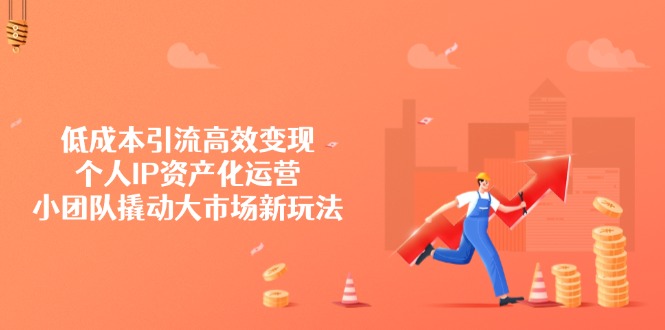 低成本引流高效变现，个人IP资产化运营，小团队撬动大市场新玩法-800资源网