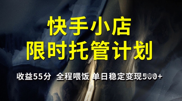快手小店限时托管计划，收益55分，全程喂饭，单日稳定变现5张-800资源网