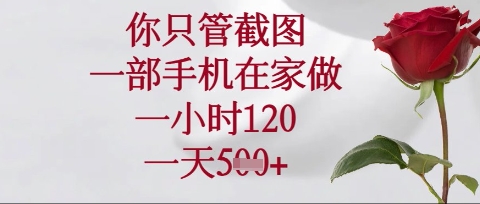 你只管截图，一部手机在家操作，一小时120.一天5张-800资源网