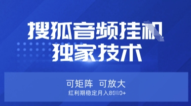 【搜狐音频挂G】独家技术，可矩阵可放大，红利期稳定月入8k-800资源网