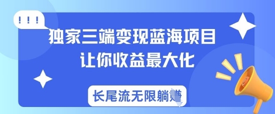 独家三端变现蓝海项目，让你收益最大化，长尾流无限躺挣-800资源网