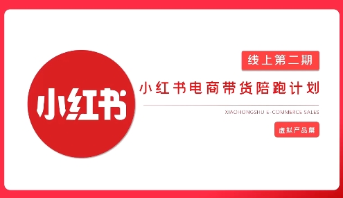 2025小红书虚拟电商实战课，从0到1打造无货源店铺，AI+爆款笔记轻松变现-800资源网