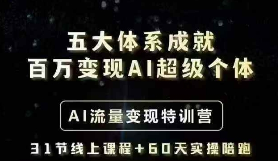 五大体系成就百万变现AI超级个体- AI流量变现特训营，一步一步教你一个人怎么年入百W-800资源网