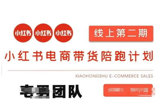 小红书电商带货课2期，月利润20个的小红书电商的有货源，无货源，虚拟产品，付费投流等整套玩法-800资源网