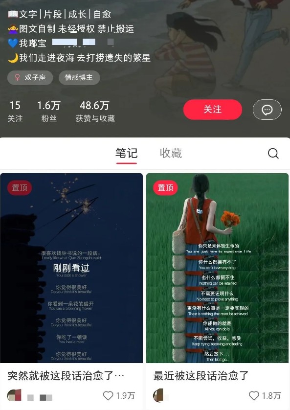 小红书治愈文案图文笔记，零门槛，一分钟制作轻松制作爆款作品月入万元-800资源网
