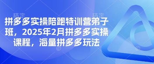 拼多多实操陪跑特训营弟子班，2025年2月拼多多实操课程，海量拼多多玩法-800资源网