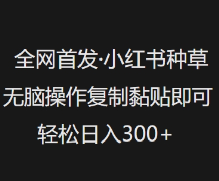 全网首发，小红书种草无脑操作，复制黏贴即可，轻松日入3张-800资源网