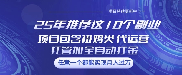 25年推荐这10个副业项目包含褂鸡类、代运营托管类、全自动打金类-800资源网