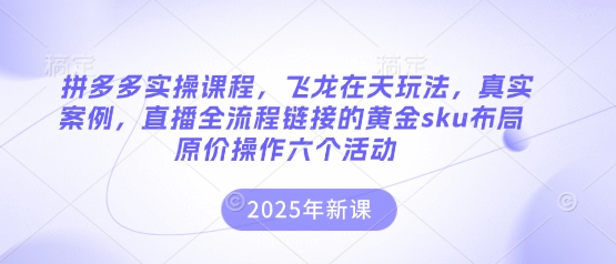 拼多多实操课程，飞龙在天玩法，真实案例，直播全流程链接的黄金sku布局原价操作六个活动-800资源网