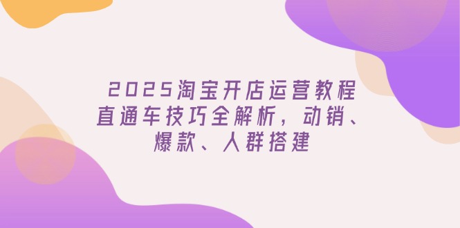 2025淘宝开店运营教程更新，直通车技巧全解析，动销、爆款、人群搭建-800资源网