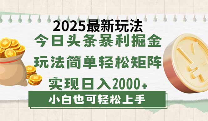 今日头条2025最新玩法，思路简单，复制粘贴，轻松实现矩阵日入2000+-800资源网