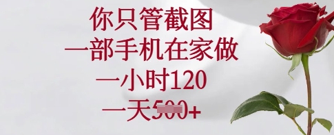 你只管截图，一部手机在家做，一小时120.一天5张-800资源网