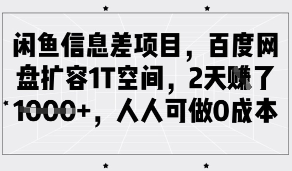闲鱼信息差项目，百度网盘扩容1T空间，2天收益1k+，人人可做0成本-800资源网
