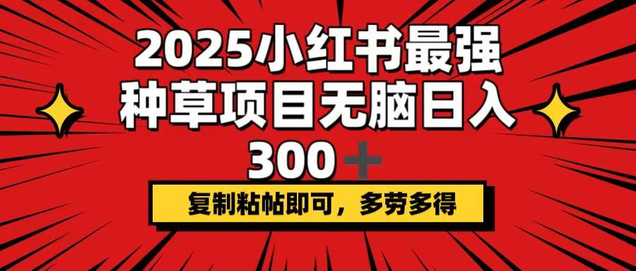 2025小红书最强种草项目，无脑日入300+，复制粘帖即可，多劳多得-800资源网